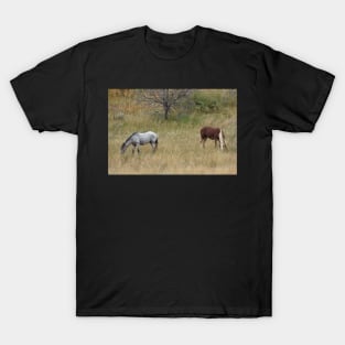 Two Wild Bachelor Stallions T-Shirt